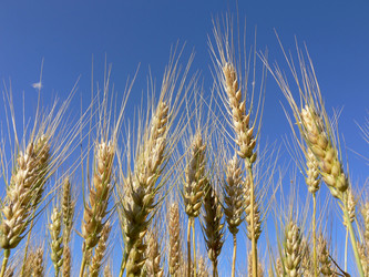 Similar image 693002