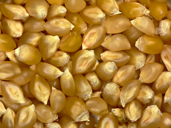 Similar image 693029