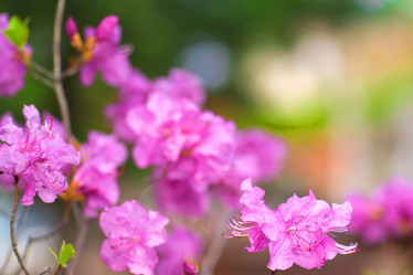 Similar image 693041