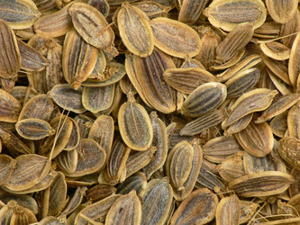 Similar image 693050