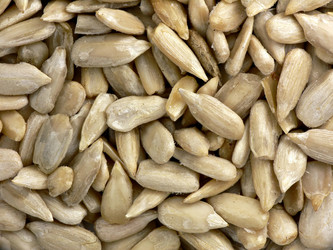 Similar image 693053