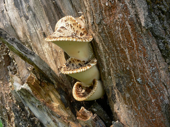 Similar image 693067