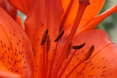 Similar image 693077