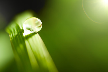 Similar image 693092