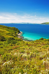 Similar image 693192