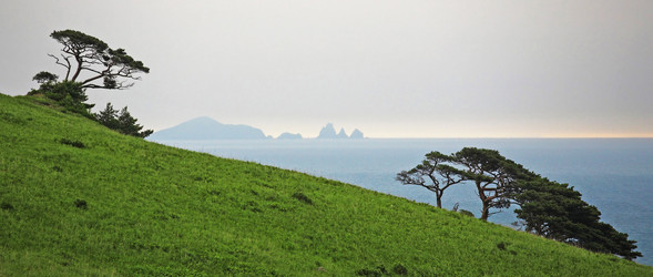 Similar image 693216