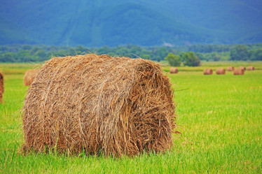 Similar image 693237