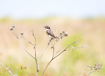 Similar image 693287