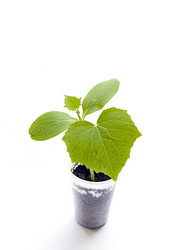 Similar image 693321