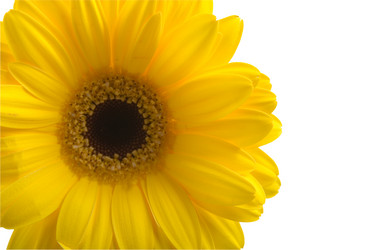 Similar image 693391