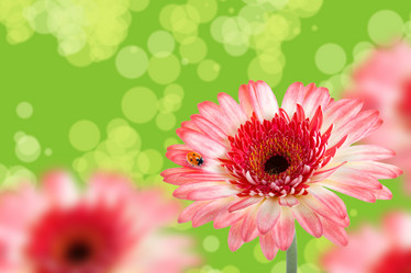 Similar image 693396