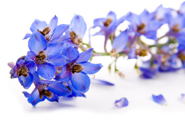 Similar image 693399