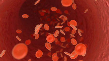 Similar image 693404