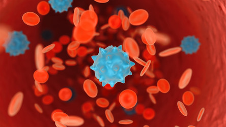 Similar image 693405