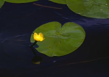 Similar image 693422