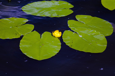 Similar image 693423