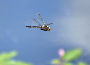 Similar image 693424