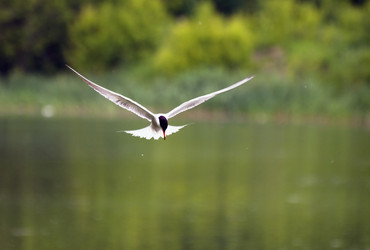 Similar image 693442