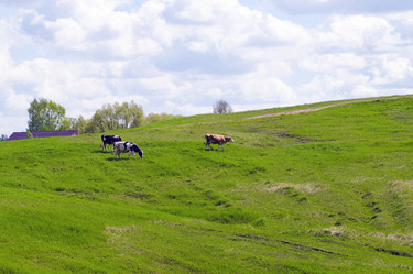 Similar image 693447