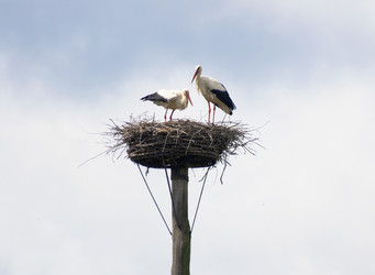 Similar image 693448