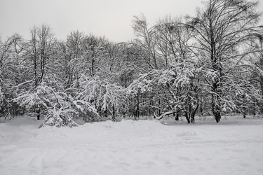 Similar image 693510