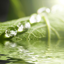 Similar image 693523