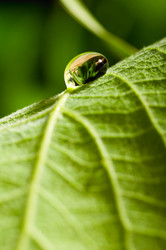 Similar image 693528