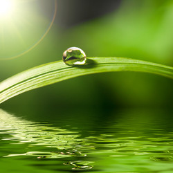 Similar image 693530