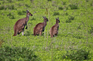 Similar image 693535