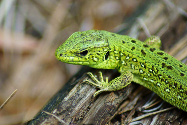 Similar image 693570