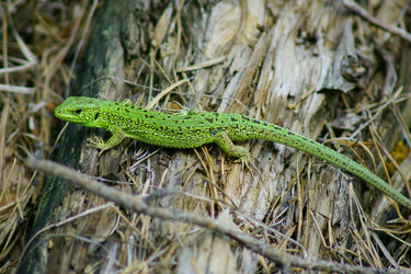 Similar image 693571