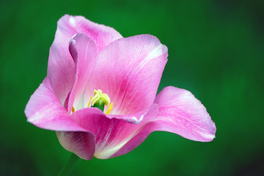 Similar image 693580