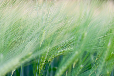 Similar image 693598