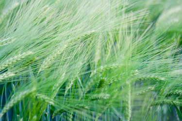 Similar image 693599