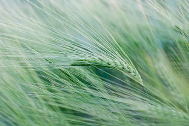 Similar image 693600