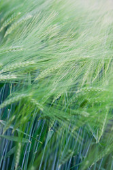 Similar image 693604