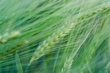 Similar image 693606