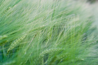 Similar image 693608