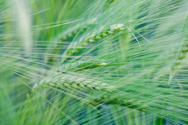 Similar image 693611