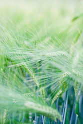 Similar image 693613