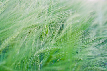 Similar image 693615