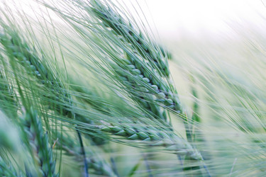 Similar image 693618