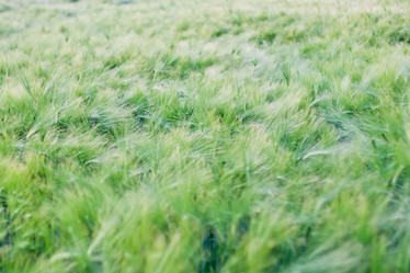 Similar image 693630