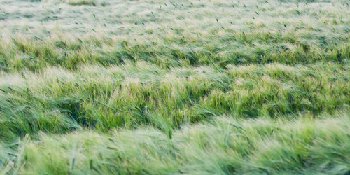 Similar image 693636