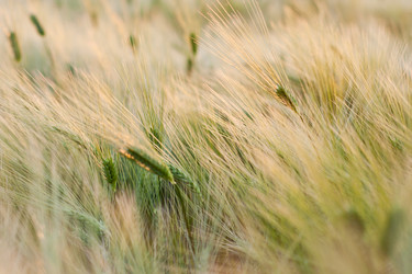 Similar image 693644