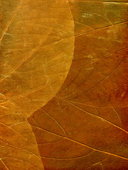 Similar image 693675