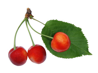 Similar image 693711