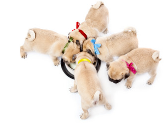 Similar image 693738