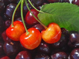 Similar image 693796