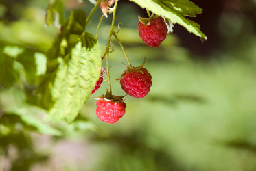 Similar image 693815